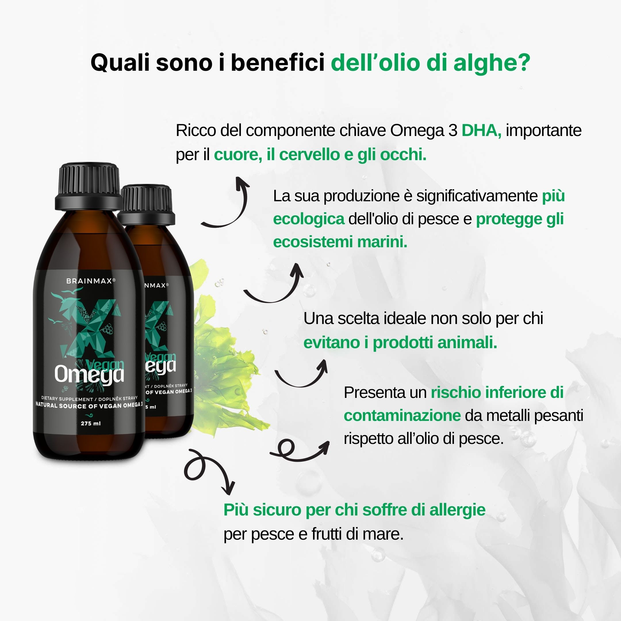 (Italština) Jaké jsou výhody oleje z mořských řas